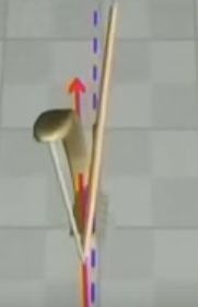 弓道