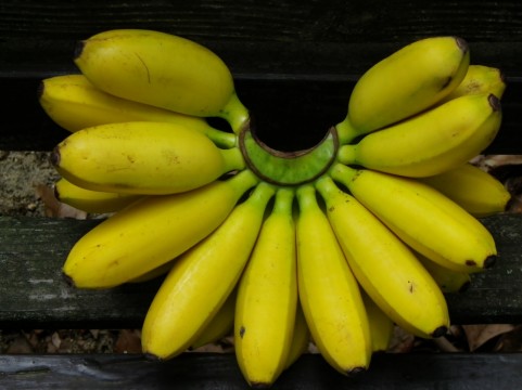 起立性調節障害とバナナ