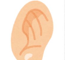 耳鳴りと耳管狭窄症