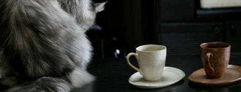 猫 避け コーヒー