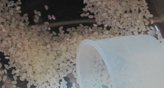 米びつがコバエの発生源