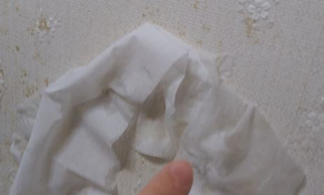 トイレの壁紙の黄ばみはトイレットペーパーとカビキラーで落とせる