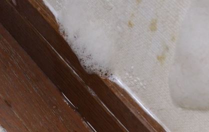 トイレの壁紙の黄ばみはカビキラーとトイレットペーパーで除去できる